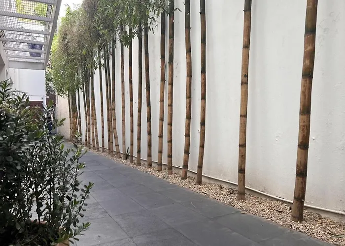 Condesa Amsterdam 301 Beautiful 1bed 1 Bath On Amsterdam Av メキシコシティ