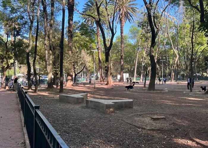 Condesa Amsterdam 301 Beautiful 1bed 1 Bath On Amsterdam Av *