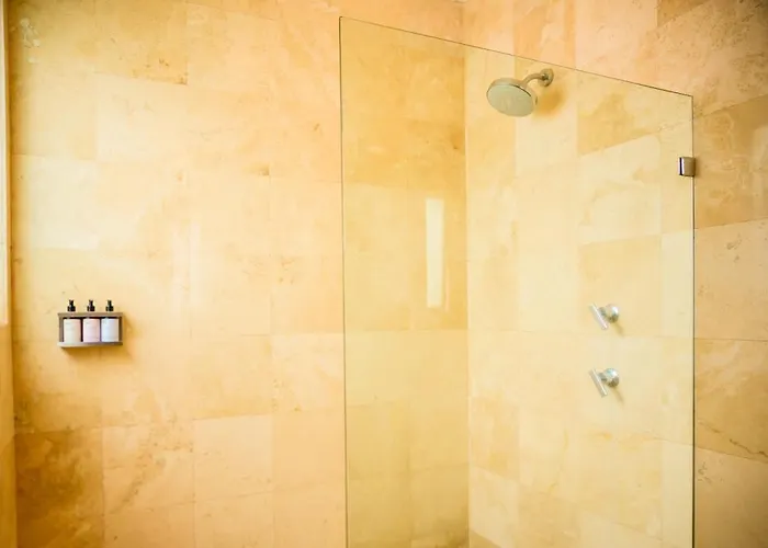 Condesa Amsterdam 301 Beautiful 1bed 1 Bath On Amsterdam Av * メキシコシティ